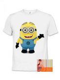 Minion 1